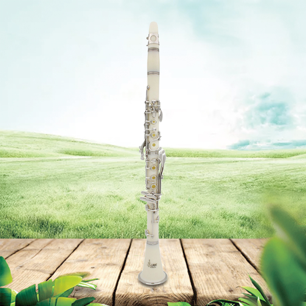 Musical Instrument Reed - Clarinette Bb 17 clés avec étui,