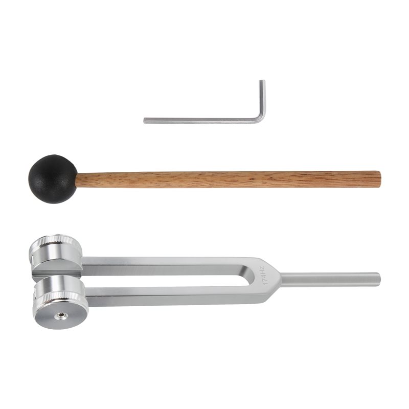 Musical Instrument Repairs - Y115A HOT 174 Hz diapason pour