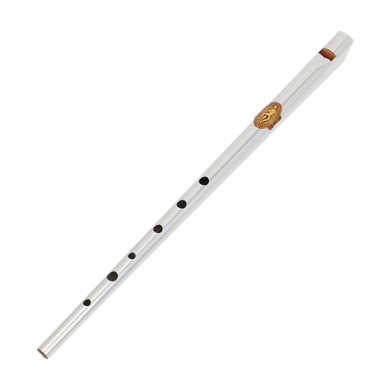 Tin Whistle Flute - Sifflet en étain à clé D/C,