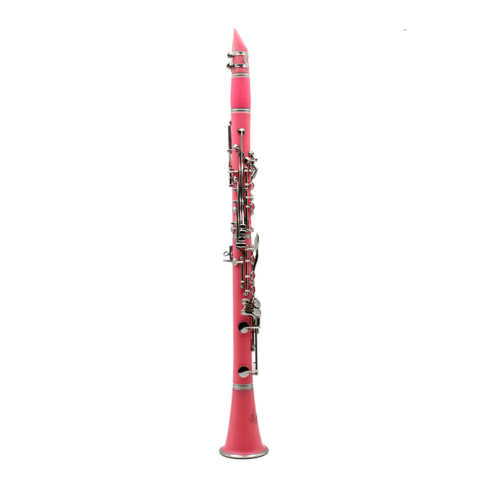 Clarinette Bb 17 clés avec étu - Musical Instrument Reed avis et prix
