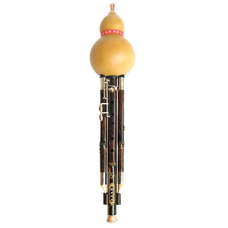 MEDUSI-Flûte en bambou profess - Bagpipe Practice Chanter avis et prix