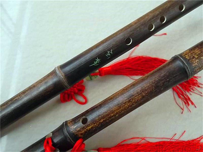 Flûte transversale Bawu en bam - Bagpipe Practice Chanter avis et prix