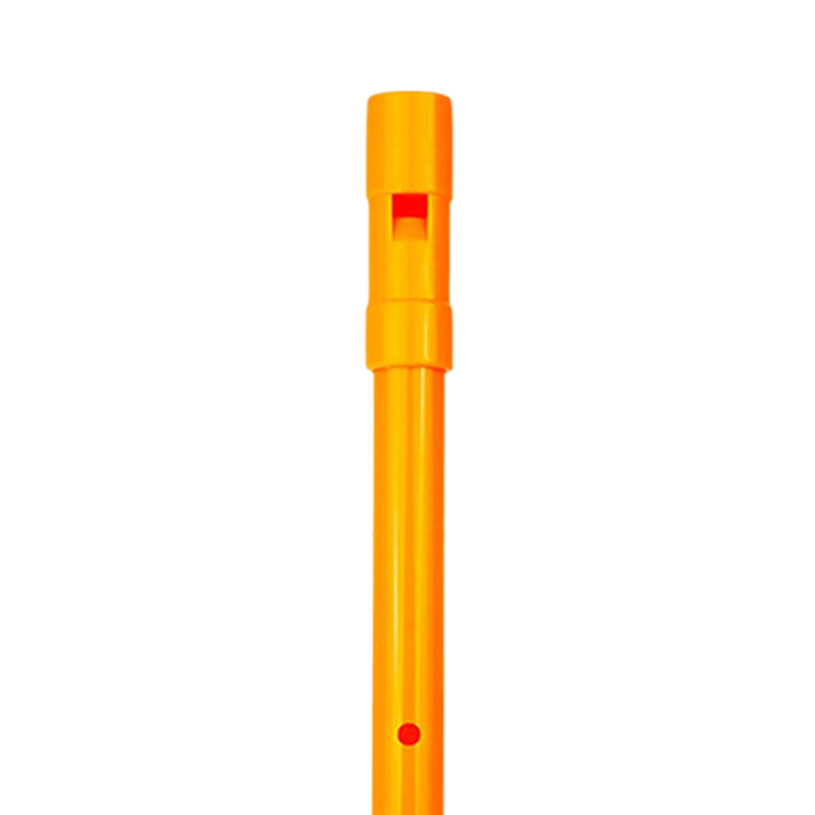 Flûte à bec traditionnelle D p - Tin Whistle Flute avis et prix