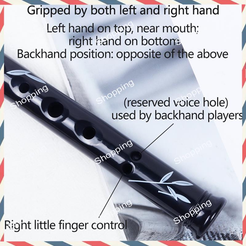 A44M 6 trous irlandais étain P - Tin Whistle Flute avis et prix
