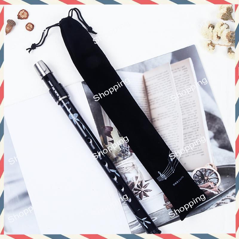 A44M 6 trous irlandais étain P - Tin Whistle Flute avis et prix