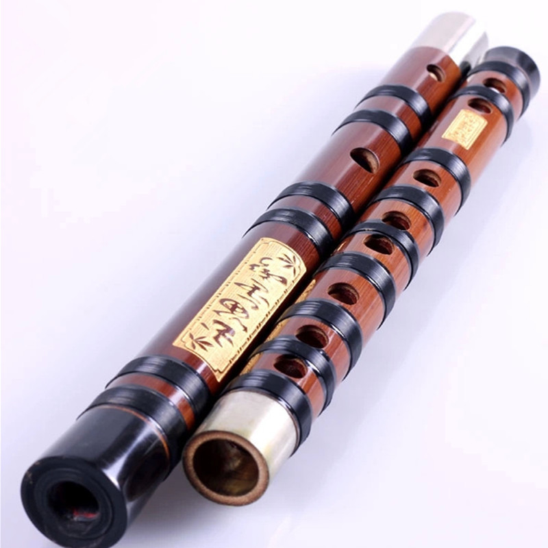 Flûte transversale professionn - Bagpipe Practice Chanter avis et prix