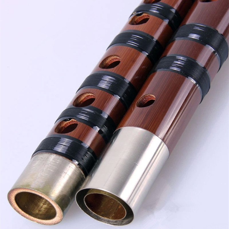 Flûte transversale professionn - Bagpipe Practice Chanter avis et prix