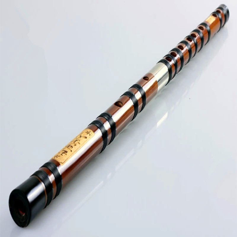 Flûte transversale professionn - Bagpipe Practice Chanter avis et prix