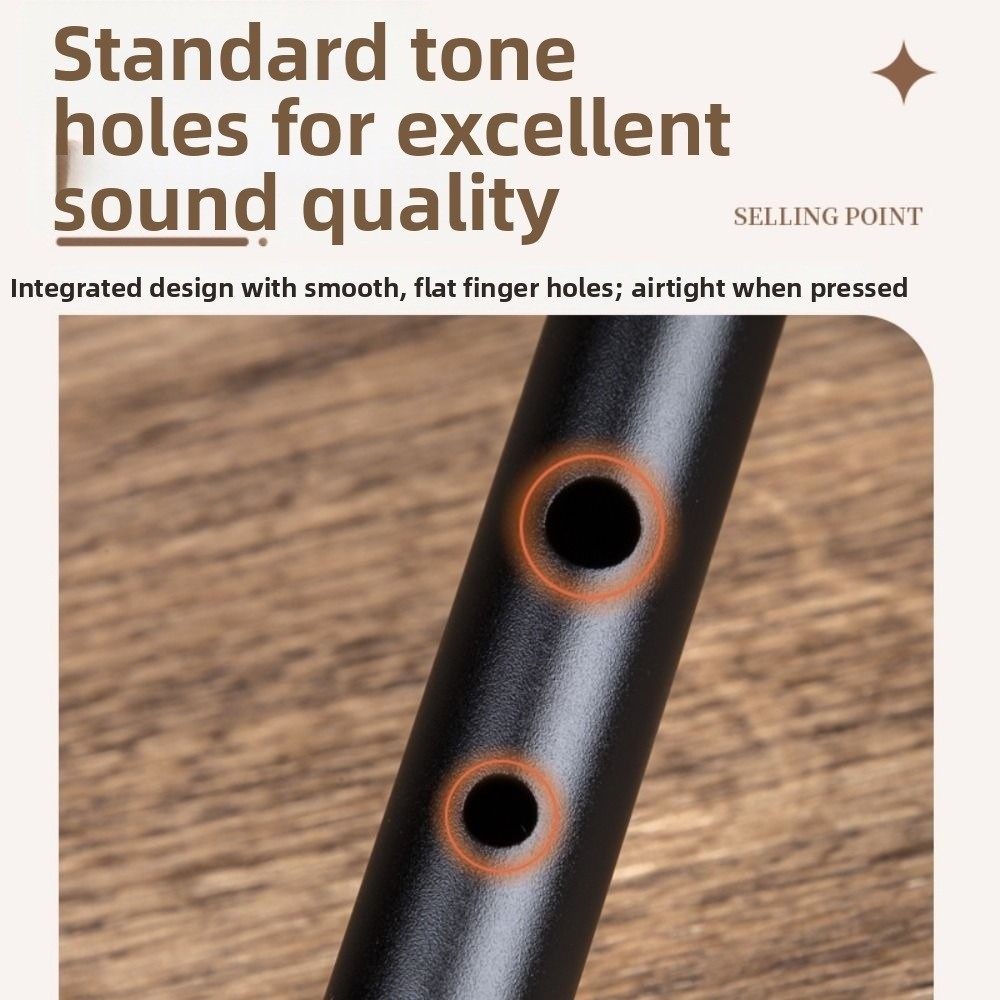Flûte irlandaise à 6 trous en  - Tin Whistle Flute avis et prix