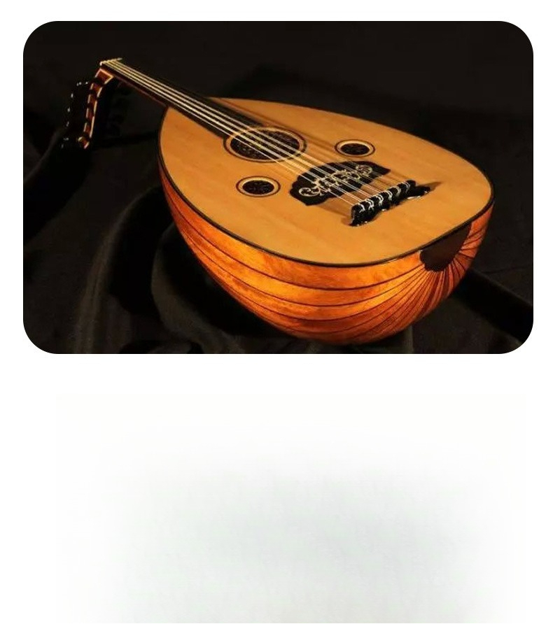 Oud, le roi des instruments de - Musical Instrument Oud avis et prix
