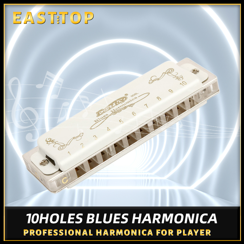 Harmonica diatonique à 10 trou - Musical Instrument Reed avis et prix