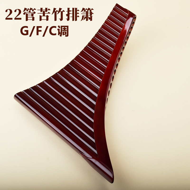 Flûte à bec à 22 cannelures, e - Musical Instrument ____ avis et prix