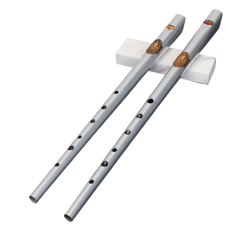 Sifflet en étain à clé D/C, en - Tin Whistle Flute avis et prix