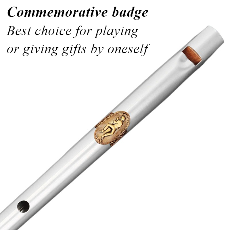 Sifflet en étain à clé D/C, en - Tin Whistle Flute avis et prix