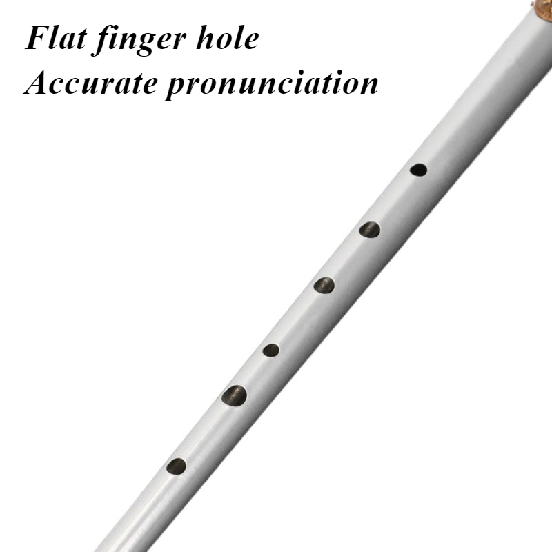 Sifflet en étain à clé D/C, en - Tin Whistle Flute avis et prix