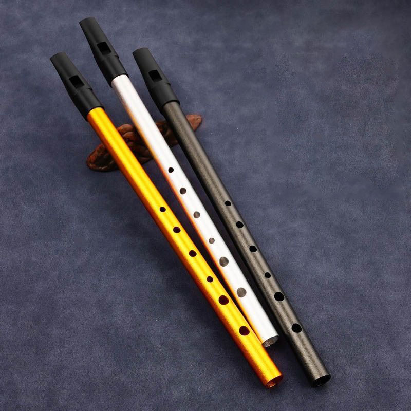 Flûte à bec à 6 trous pour étu - Tin Whistle Flute avis et prix