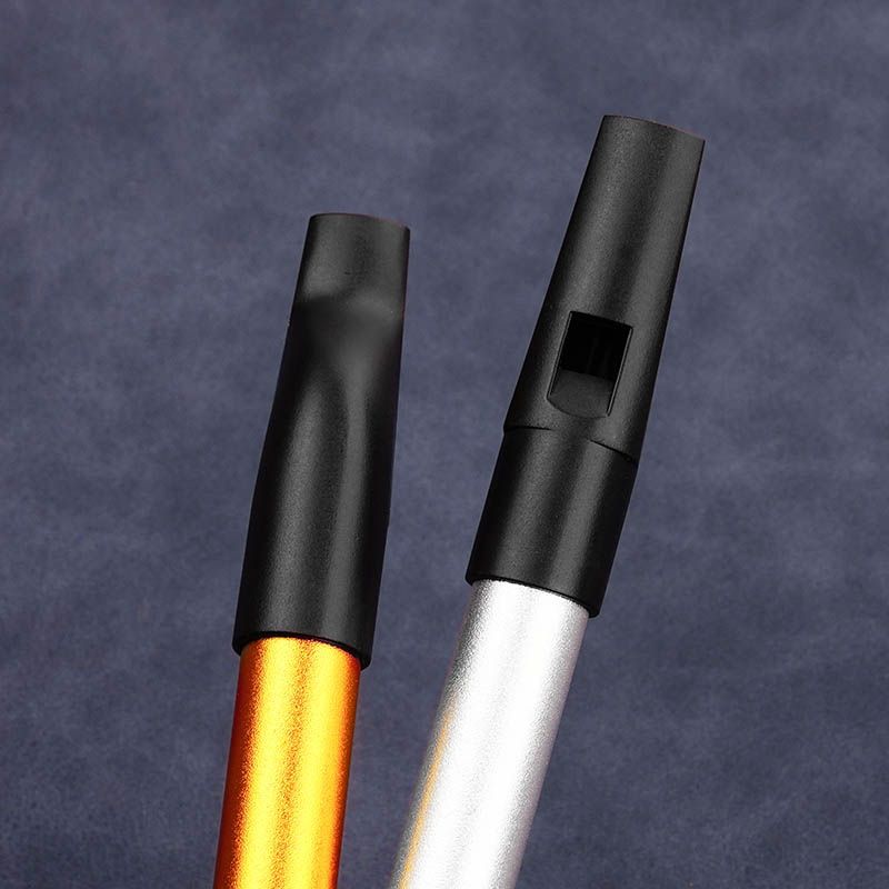Flûte à bec à 6 trous pour étu - Tin Whistle Flute avis et prix